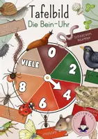 Vorschau - Stundenentwürfe - Tafelbild: Die Bein-Uhr - Deckblatt