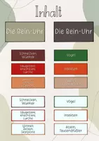 Vorschau - Stundenentwürfe - Tafelbild: Die Bein-Uhr - Seite 1