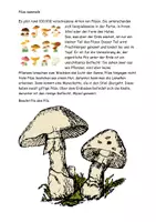 Vorschau - Arbeitsblätter - Pilze sammeln Texte Aufgaben Lösung - Seite 2