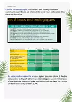Aperçu - Fiches - Comprendre les paliers d'orientation en France - Page 3