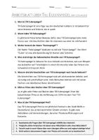 Vorschau - Arbeitsblätter - Lernposter + AB mit Fragen zum Thema "Till Eulenspiegel" + Lösungsblatt + Mindmap + Infografik - Seite 3