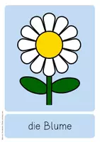 Vorschau - Bildkarten - Bildkarten: Frühling und Ostern (Deutsch und DaF/DaZ) - Seite 3