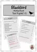 Vorschau - Test - Blackbird: Test Kapitel 1-6 | HSAP 2023 - Deckblatt