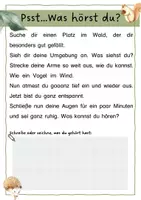 Vorschau - Arbeitsblätter - Wald Forscherheft🌲 #silvesterknaller23 - Seite 3