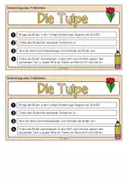Vorschau - Arbeitsblätter - Bild-Text-Zuordnung Tulpe (mit Schreibaufgabe) - Seite 2