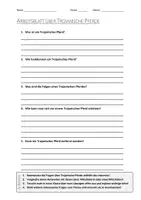 Vorschau - Arbeitsblätter - AB mit Fragen zum Thema "Trojanische Pferde" + Lösungsblatt + Infografik - Deckblatt