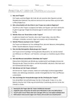 Vorschau - Arbeitsblätter - AB mit Fragen zum Thema "Tropen" + Lösungsblatt + Mindmap + Infografik - Seite 3