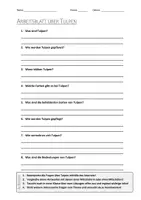 Vorschau - Arbeitsblätter - Lernplakat + AB mit Fragen zum Thema "Tulpen" + Lösungsblatt + Infografik - Seite 2