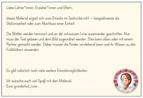 Vorschau - Stationenlernen - Frühblüher Zuordnungsspiel | Sachunterricht Frühling Klasse 2-4 - Seite 3