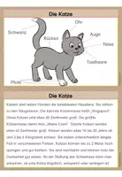 Vorschau - Arbeitsblätter - Haustiere | Sachunterricht - Seite 3