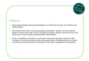 Vorschau - Fördermaterial/Inklusion - Klettaufgaben: Frösche mit Lebensmitteln füttern - Seite 1