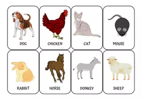 Vista previa - Juegos / Gamificación - Take one - animals - Portada