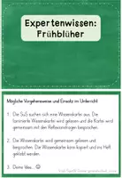 Vorschau - Stationenlernen - Frühblüher Wissenskartei | Sachunterricht Klasse 2-4 - Seite 3