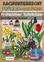 Vorschau - Fördermaterial/Inklusion - Frühblüher: Tafelbilder und Schilder - Deckblatt
