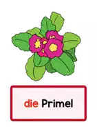 Vorschau - Fördermaterial/Inklusion - Frühblüher: Tafelbilder und Schilder - Seite 1