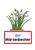 Vorschau - Fördermaterial/Inklusion - Frühblüher: Tafelbilder und Schilder - Seite 3