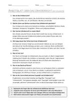 Vorschau - Arbeitsblätter - AB mit Fragen zum Thema "Urheberrecht" + Lösungsblatt + Mindmap + Infografik - Seite 2