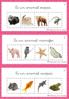 Vista previa - Refuerzo / NEE / Materiales de apoyo - Joc: classificació d'animals - avaluació - página 1