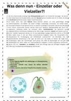 Vorschau - Arbeitsblätter - Materialpaket DNA und Zellkern - Seite 1