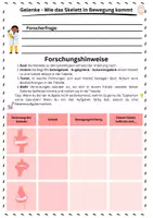 Vorschau - Stundenentwürfe - Gelenke - Unterrichtsentwurf - Seite 1
