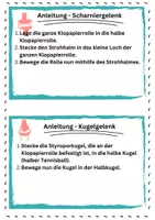Vorschau - Stundenentwürfe - Gelenke - Unterrichtsentwurf - Seite 2
