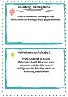 Vorschau - Stundenentwürfe - Gelenke - Unterrichtsentwurf - Seite 3