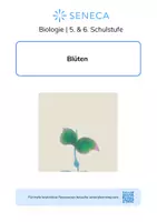 Vorschau - Arbeitsblätter - Blüten - KOSTENLOS - Biologie 5. & 6. Klasse - Deckblatt