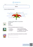 Vorschau - Arbeitsblätter - Blüten - KOSTENLOS - Biologie 5. & 6. Klasse - Seite 1
