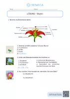Vorschau - Arbeitsblätter - Blüten - KOSTENLOS - Biologie 5. & 6. Klasse - Seite 2
