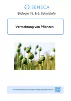 Vorschau - Arbeitsblätter - Vermehrung von Pflanzen - Biologie 5. & 6. Klasse - Deckblatt