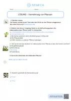 Vorschau - Arbeitsblätter - Vermehrung von Pflanzen - Biologie 5. & 6. Klasse - Seite 2