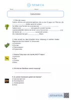 Vorschau - Arbeitsblätter - Doldenblütler - KOSTENLOS - Biologie 5. & 6. Klasse - Seite 1