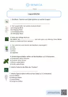 Vorschau - Arbeitsblätter - Lippenblütler - KOSTENLOS - Biologie 5. & 6. Klasse - Seite 1