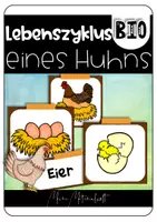 Vorschau - Bildkarten - Lebenszyklus eines Huhns (Tafelkarten) - Deckblatt