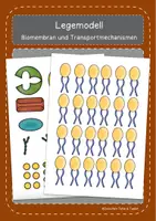 Vorschau - Arbeitsblätter - Materialpaket Transport durch die Biomembran - Seite 1