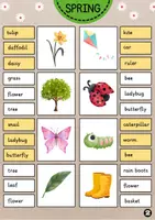 Vorschau - Fördermaterial/Inklusion - Spring Words Clip Cards | Klammerkarten | Vocabulary #frühlingbeieduki #osternbeieduki - Seite 2