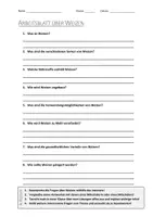 Vorschau - Arbeitsblätter - Lernplakat + AB mit Fragen zum Thema "Weizen" + Lösungsblatt + Infografik - Seite 1