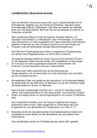 Vorschau - Stationenlernen - Landkärtchen Tagfalter/Schmetterling Interaktiv Sachkunde - Seite 1