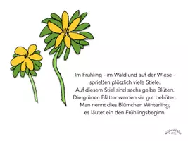 Vorschau - Fördermaterial/Inklusion - Malgeschichte / rhythmisches Zeichnen „WINTERLING“ inkl. VIDEO (diverse Versionen u.a. mit & ohne Silbentrennern, Querformat zum Einlaminieren für Präsentation Beamer/Tablet) - Frühling - Seite 3