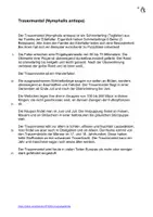 Vorschau - Stationenlernen - Trauermantel Tagfalter/Schmetterling Interaktiv Sachkunde - Seite 3