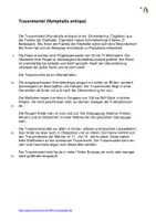 Vorschau - Stationenlernen - Trauermantel Tagfalter/Schmetterling Interaktiv Sachkunde - Seite 2