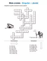 Aperçu - Jeux - Français : mots croisés « singulier et pluriel » - Page de couverture