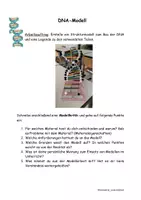 Vorschau - Arbeitsblätter - DNA-Modell - Hinweise zur Erstellung, Modellkritik und Bewertungsraster - Seite 1
