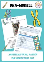 Vorschau - Arbeitsblätter - DNA-Modell - Hinweise zur Erstellung, Modellkritik und Bewertungsraster - Deckblatt