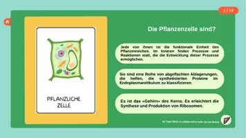 Vorschau - Spiele - INTERAKTIVES QUIZ: STRUKTUR DER PFLANZLICHEN ZELLE II - Seite 3