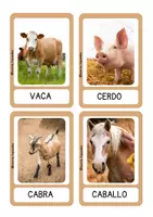 Vista previa - Unidades / Secuencias / Situaciones de Aprendizaje - Lectoescritura multinivel - Portada