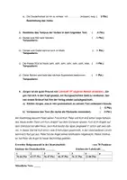 Vorschau - Test - Deutscharbeit Grammatik Bestimmung von Wortarten mit EWH (Version 2) - Seite 3