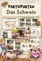 Vorschau - Bildkarten - Bauernhoftiere: Karteikarten "Das Schwein" (Kl.1/2) - Deckblatt