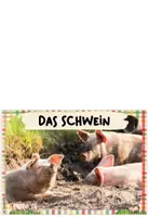 Vorschau - Bildkarten - Bauernhoftiere: Karteikarten "Das Schwein" (Kl.1/2) - Seite 1