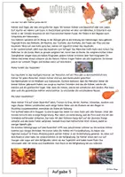 Vorschau - Arbeitsblätter - SACHTEXT: Hühnerhaltung mit Arbeitsblatt - Seite 1